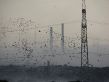 baku-sky-line-733972.jpg baku-sky-line-733972.jpg