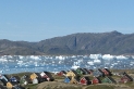 Greenland Greenland