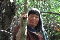 vineshamen.jpg vineshamen.jpg